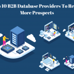 B2B Database Providers